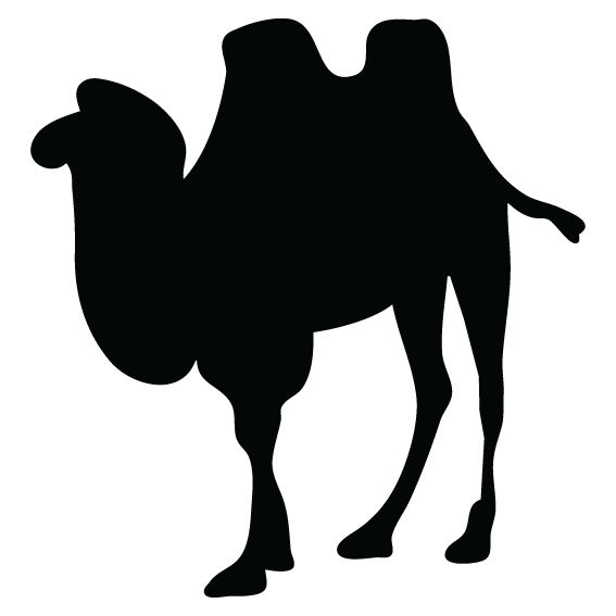 ANIMALE 21