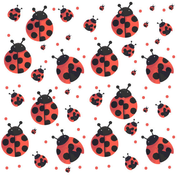 Coccinella 2 